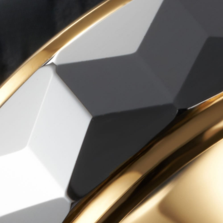 Regulus™ – A Statement of Power and Prestige